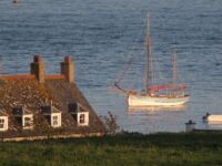 Sailboat on mooring Sailboat on mooring